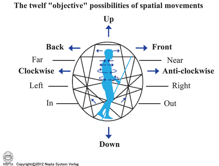 12 spasial movements